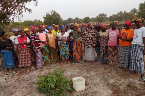 281b21ed-ddb7-4d5b-a8f4-37eeb7f1d8ba