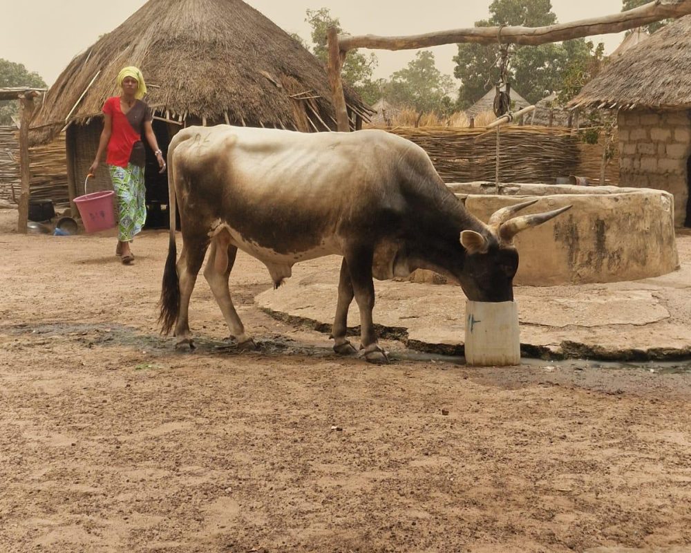 aa48c406-2557-4c72-b2e1-70c9b932de68